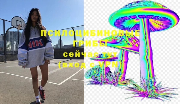 PSILOCYBIN Алзамай