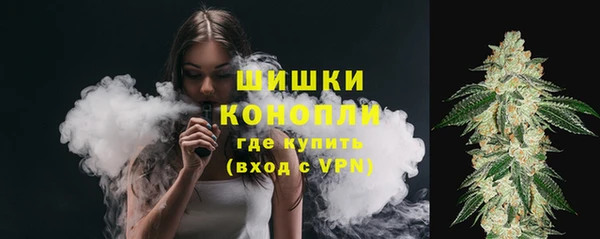 гидра Абаза
