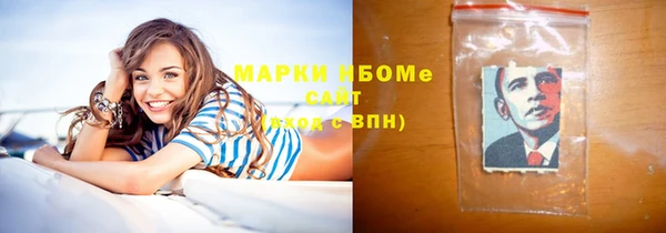 гидра Абаза