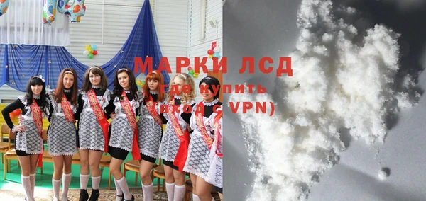 гидра Абаза