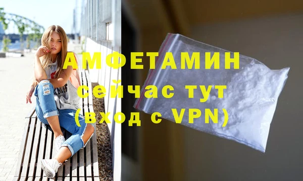 гидра Абаза